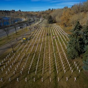 Field of Crosses
