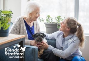 The Brenda Strafford Foundation