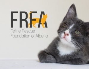 Feline Rescue Foundation of Alberta