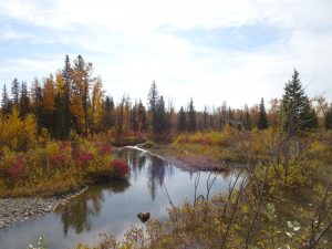 Foothills Land Trust