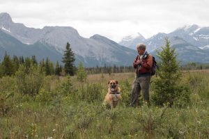 Cochrane & Area Humane Society (CAHS)