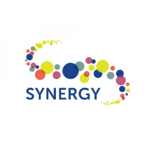 Synergy Youth and Community Development Society