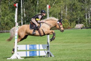 Manitoba Horse Council