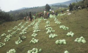 Teach to Grow Canada Foundation