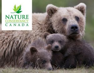 Environment Conservancy of Canada (NCC)