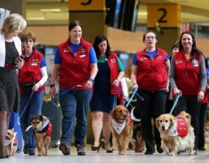 PALS Pet Access League Society