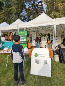 Perlin Foundation for Wellbeing