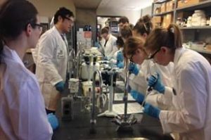 The MindFuel Foundation