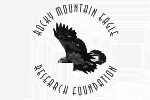 Rocky Mountain Eagle Research Foundation