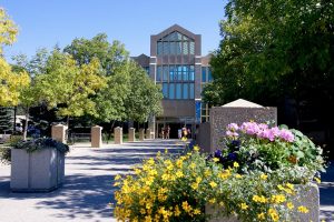 Mount Royal University Foundation