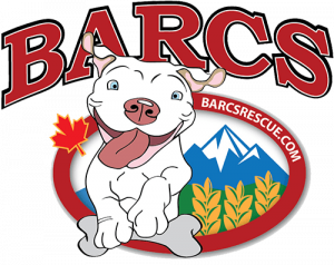BARC’s Rescue