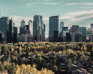 Forest Lawn Community Association